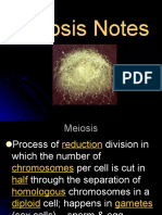 Meiosis Notes Ms