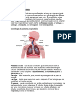 sistemacirculatorio (1)