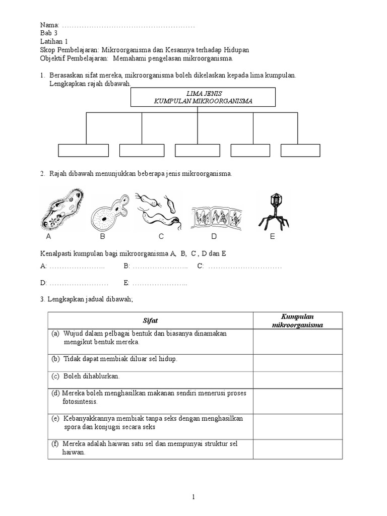 Latihan Sains Bab 3 Tahun 6  PDF