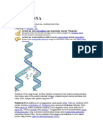 replikasidnatranskripsirnatranslasiprotein-130306093422-phpapp02.docx