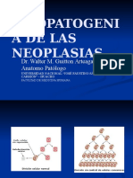 Etiopatogenia de Las Neoplasias