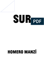 Homero Manzi Sur