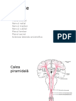 Curs 3-kineto.pptx