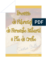 Fabricação de Fermento Natural e Pão de Cristo - Documentos Google PDF
