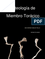 OsteologiaMTcomparado