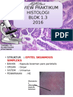 Histologi Praktikum Dasar