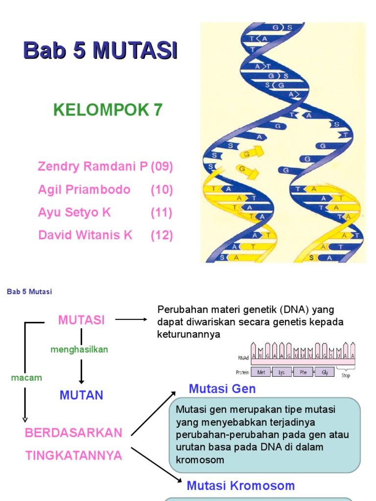 Mutasi Kel 7 | PDF
