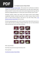 Download Cara Membuat Anyaman Ketupat Mudah by wisnu SN340923318 doc pdf