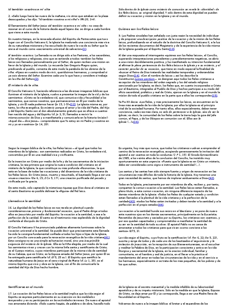 Christifideles Laici PDF Iglesia Católica Santo