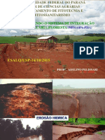 Aula - Graduaçao Ilpf - Usp-Esalq PDF