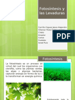 Fotosíntesis y las Levaduras.pptx
