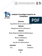 Rutas Metabolicas2