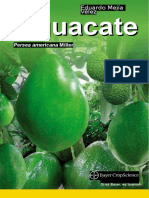 Cartilla Aguacate