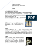 08-Simbología del olivo (1).doc