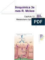 Diapositivas 12