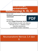 Neuroanatomi III, IV, Vi