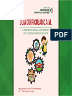 Copia de Guia_curricular CAM.pdf