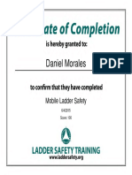 Mobile Ladder Safety 06-04-15