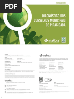 528f44d87d146_diagnostico_conselhos_1.pdf