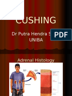 Adrenal Cushing 