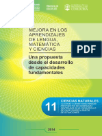 Fas 11 Csnaturales