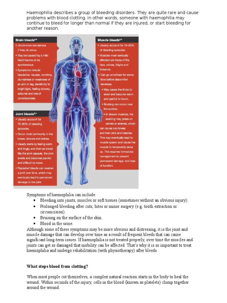What Stops Blood From Clotting? PDF