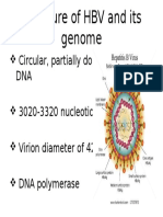 Circular, Partially Double-Stranded DNA 3020-3320 Nucleotides Virion Diameter of 42 NM DNA Polymerase