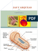 Cap 3. Bacterias y Arqueas