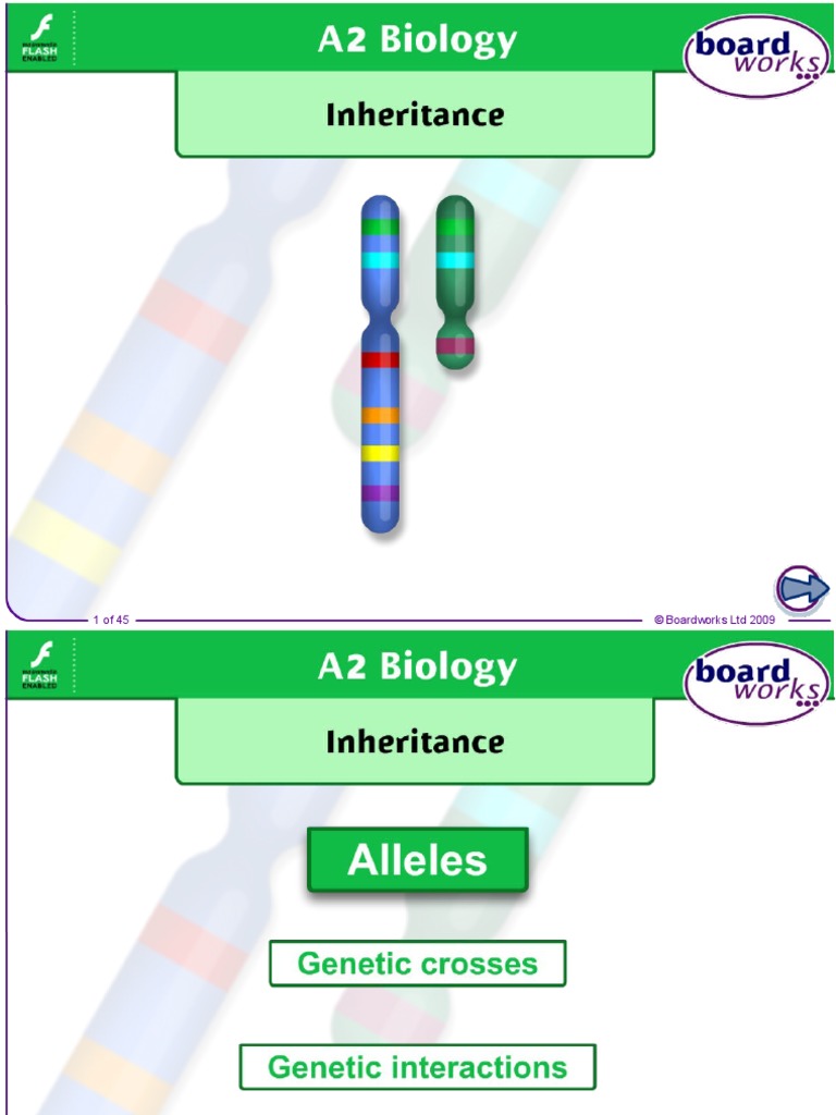 whats dominance in genetics