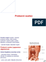 6. probavni sustav I i II.ppt