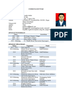 Curriculum Vitae Naldo