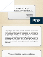 Control de La Expresión Genética Decimo C