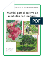 62868572-Manual-Rambutan.pdf