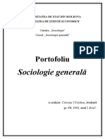 Portofoliu La Sociologie 2