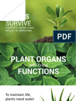 How Plants Survive