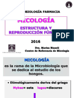 Micología: estructura y reproducción fúngica