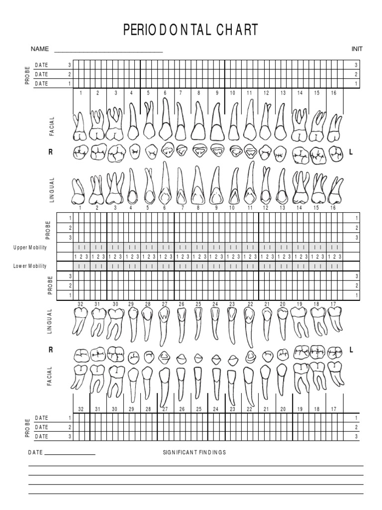 Periodontal Chart | PDF