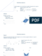 Proiect-Metoda Triunghiurilor Congruente