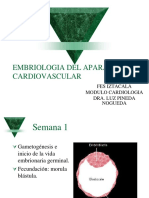 Embriologia Del Aparato Cardiovascular