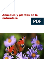 Animales y Plantas en La Naturaleza