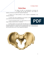 Pelvis_osea.pdf