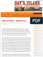 Wood Fern