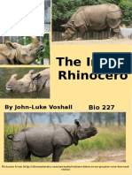 The Indian Rhinocero S: by John-Luke Voshall