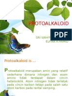 242345151-Protoalkaloid