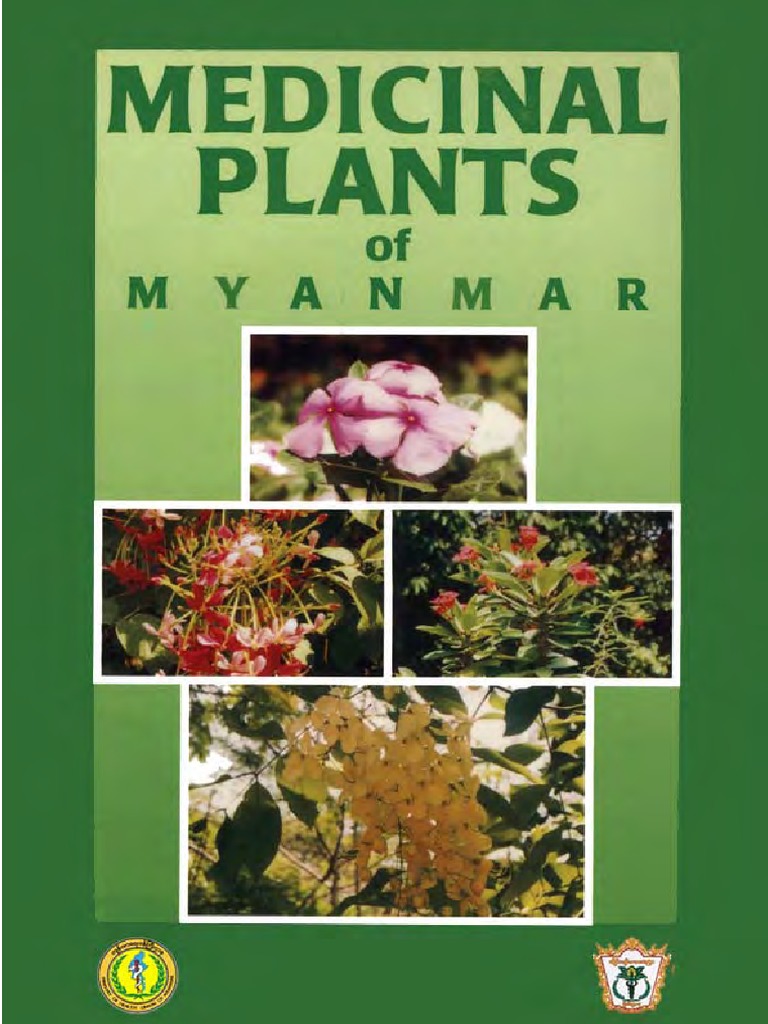Medicinal Plants of Myanmar.pdf Leaf Trees