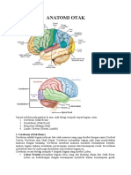 Anatomi Otak