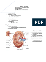 2130 Renal Physiology Study Notes