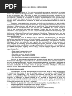 Ciclo Hidrológico e Hidroquímico