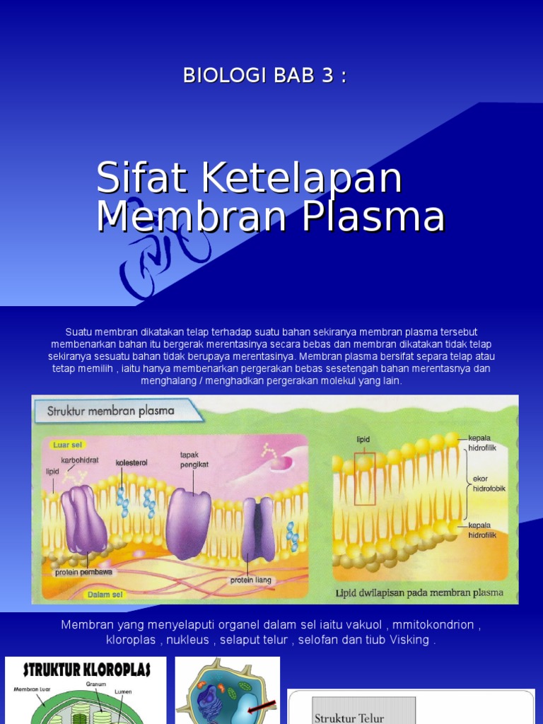 Biologi Bab 3 | PDF