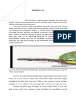 Bioretensi sebagai drainase berwawasan lingkungan